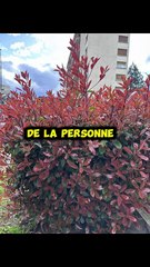 #motivation #BR3 #success #conseil #leçon (26)