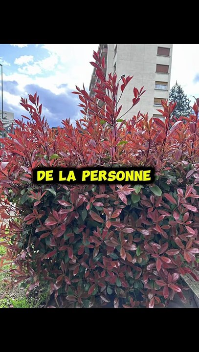 #motivation #BR3 #success #conseil #leçon (26)