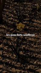 #motivation #BR3 #success #conseil #leçon (2)