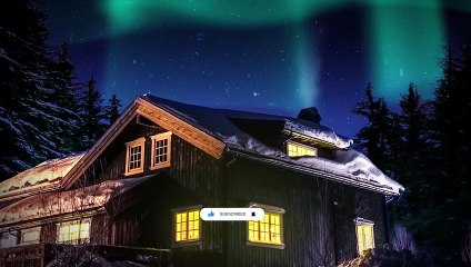 30 Minutes of Forest Serenity – A Journey Through Nature