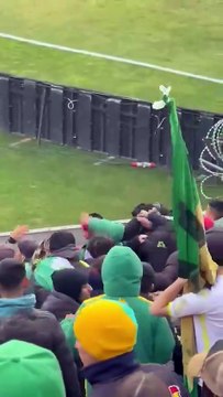 Violentos incidentes en la tribuna de Aldosivi en el partido ante Newell’s: cuchillazos y heridos