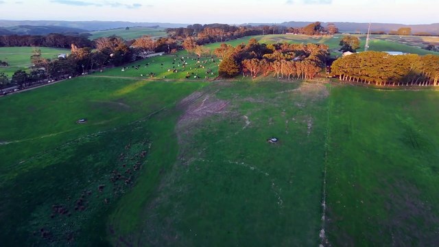 SA Farmers receive much needed rain but worry it came too late
