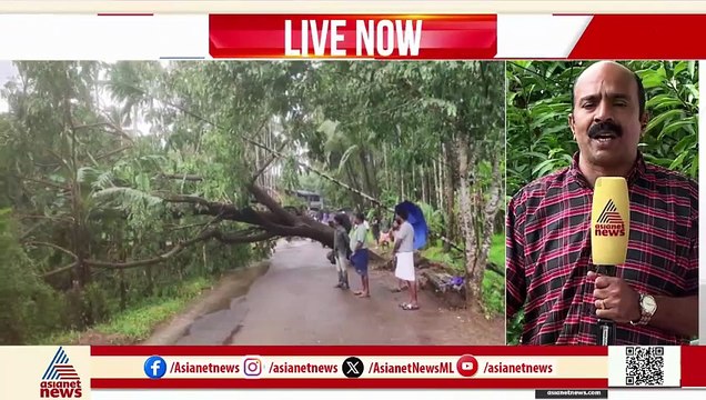 മലപ്പുറത്ത് കനത്ത മഴയിൽ വ്യാപകനാശ നഷ്ടം; വീടിന് മുകളിൽ മരം വീണു