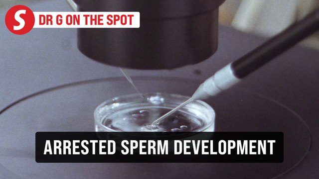 EP284: Arrested development of sperm maturation | PUTTING DR G ON THE SPOT