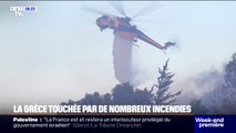 Grèce: de multiples incendies répertoriés dans le pays, cinq personnes hospitalisées