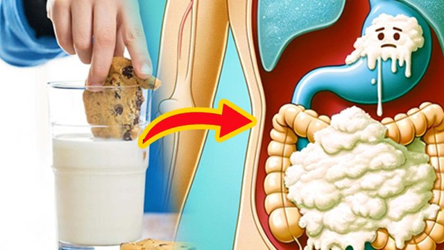 Milk Biscuit Ek Sath Khane Se Kya Hota Hai, दूध बिस्किट एक साथ खाने के फायदे और नुकसान...