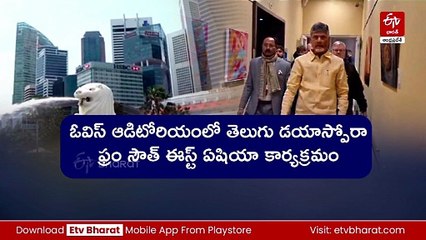 సింగపూర్‌ పర్యటన - సీఎం చంద్రబాబుకు ఘన స్వాగతం