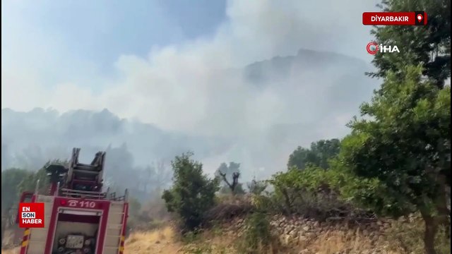 Diyarbakır'da ziraat arazisinde başlayıp ormanlık alana sıçrayan yangın 10 saat sonra söndürüldü