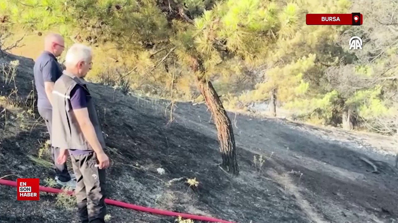 Ulaştırma ve Altyapı Bakanı Uraloğlu, Bursa'daki yangın bölgesini havadan inceledi