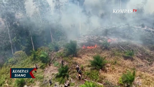 Tanggap Darurat Karhutla, Satgas Riau Semai 21 Ton Garam untuk Modifikasi Cuaca | KOMPAS SIANG