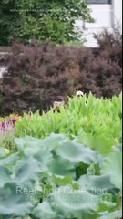 Who's My Real Boyfriend? Full Movie with Eng Sub 🎬