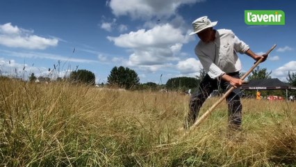 Petite Foire Paysanne à Tournay, fauchage à la faux : une méthode respectueuse de la nature ...