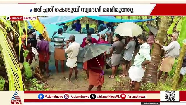 തേങ്ങ പെറുക്കുന്നതിനിടെ പൊട്ടിവീണ വൈദ്യുതിൽ ലൈനിൽ നിന്നും ഷോക്കേറ്റു; വയോധികന് ദാരുണാന്ത്യം