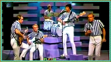 (R)-Beach Boys - Barbara Ann (1965)
