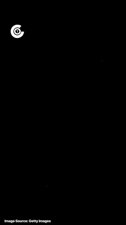 Hazlewood, Starc, and Cummins - Australia’s fearsome bowling dragons breathing fire on every pitch.