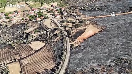 Uşak'ta orman yangını: Yanan alanlar havadan görüntülendi