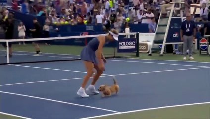 Anna Kalinskaya celebra su pase a la final con su perro en pista