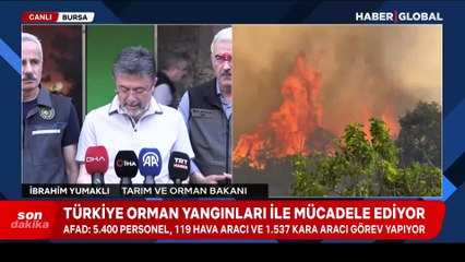 Ormanlarımız alev alev: Devam eden yangınlar hangileri?