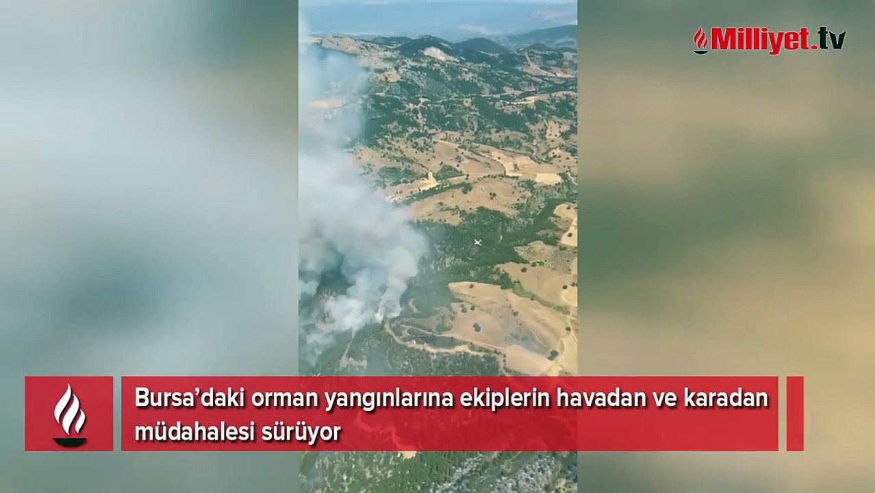 Bursa'daki orman yangınına hava ve karadan müdahale sürüyor