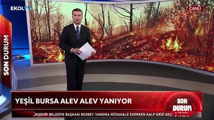 Rüzgar yön değiştirdi: Bursa'da alevler yeniden yükseldi