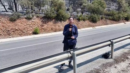 YEŞİL DOĞA SİYAHA DÖNDÜ! İşte yangından sonra Bursa...