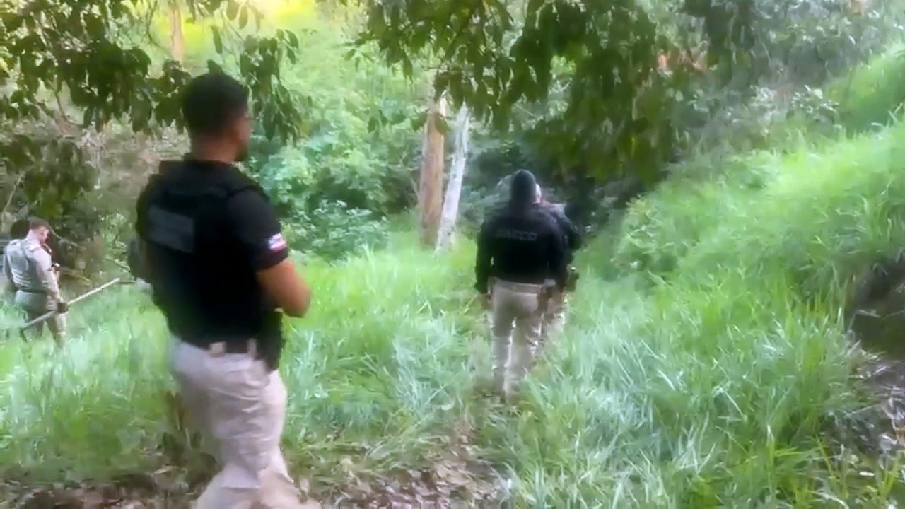 Vídeo mostra polícia encontrando drogas enterradas em área de mata em Eunápolis; assista