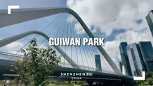 Shenzhen Walking Tour at Guiwan Park in Qianhai New District