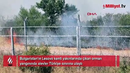 Bulgaristan’da orman yangını! Alevler Türkiye sınırına ulaştı