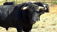 TOrREALTA para Huelva