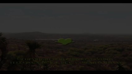 Monteverde 2025 - Capitulo 27 - Vídeo