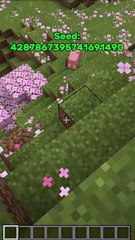Seed bioma Cerezo Minecraft Bedrock 1.21 - 1.20
