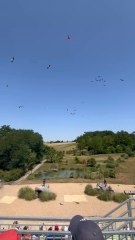 LE PLUS BEAU spectacle du Zoo de Beauval