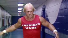 The Rise and Fall of Hulk Hogan: From Wrestling Icon to His Final Days (1953–2025)