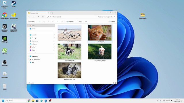 💻❌ Como QUITAR FONDO de una FOTO con APLICACIÓN FOTOS en WINDOWS 11 FÁCIL y RÁPIDO