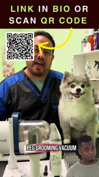 I Tried the oneisall 7-in-1 Powerful Dog Grooming Vacuum Kit – Here’s What REALLY Happened! 🐾