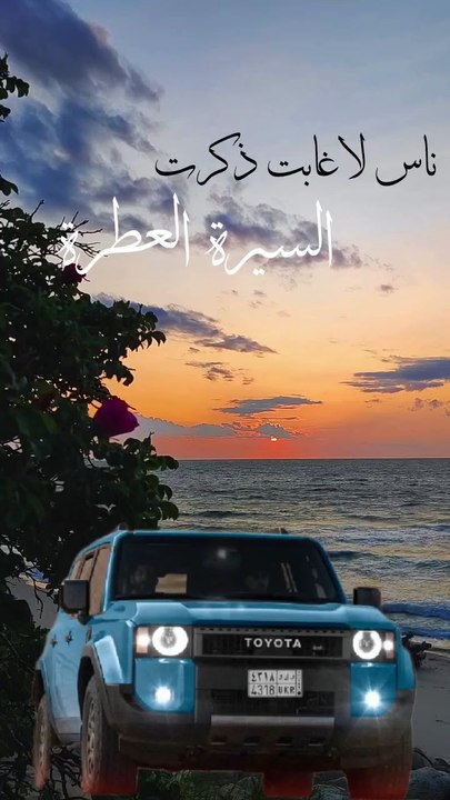 بعض المواقف تسوق الخط صالح اليامي