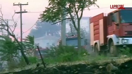 Grecia, incendi nel nord di Atene costringono la popolazione a evacuare