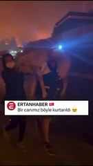 Köpeği yangından kurtardılar