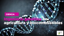 Ingeniería genética en agricultura y biocombustibles
