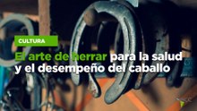 El arte de herrar para la salud y el desempeño del caballo