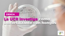 La UCR investiga cómo crear biofertilizante con hongos
