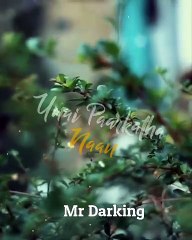 Unnai parkatha naan song | tamil love |