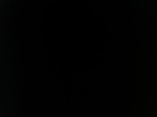 samurai warriors 02.