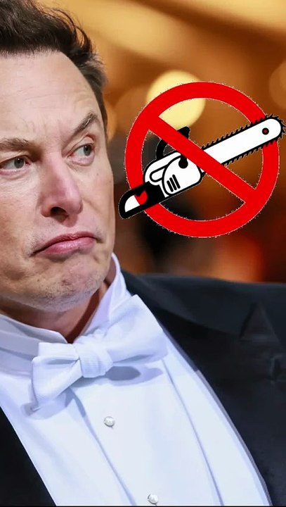 Elon Musk y Milei: del * entusiasmo al arrepentimiento,