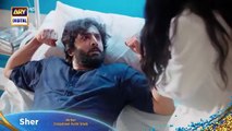 Sher Upcoming Episode 21 _ Promo _ Danish Taimoor _ Sarah Khan _ ARY Digital Drama