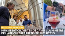 La ministre de l'Agriculture s'est rendue aux Riceys pour la Route du champagne