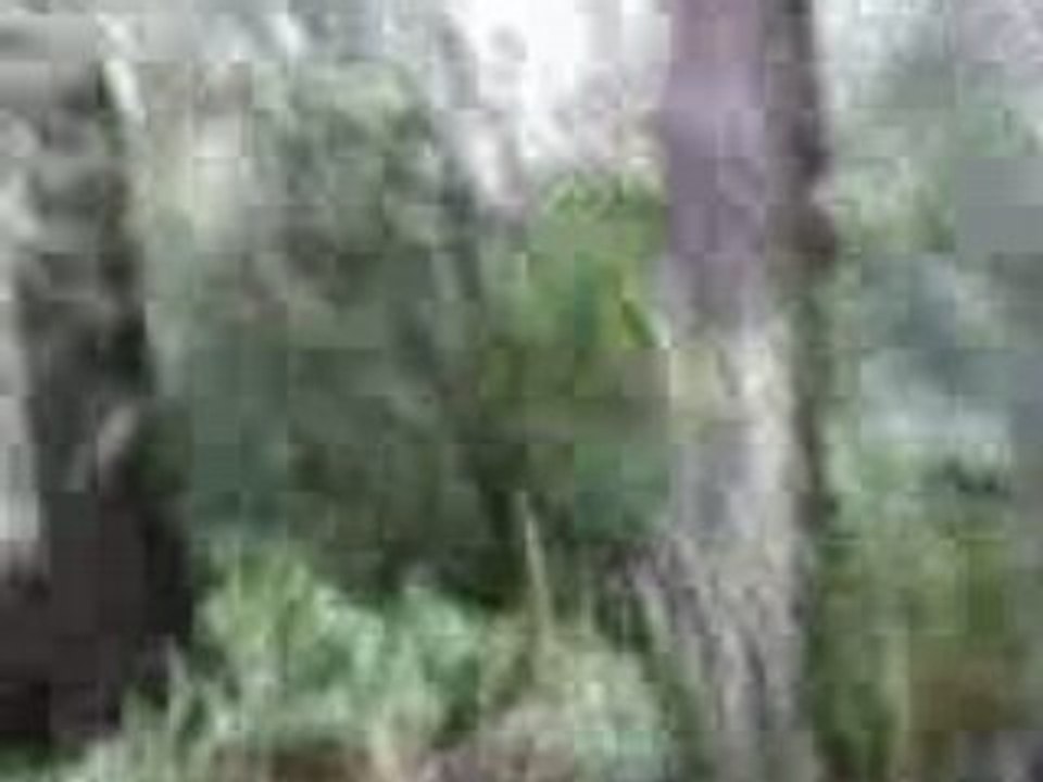 Lost_2mpmi