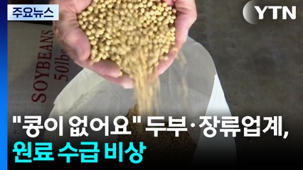 "콩이 없어요"...두부·장류업계 원료 수급 비상 / YTN
