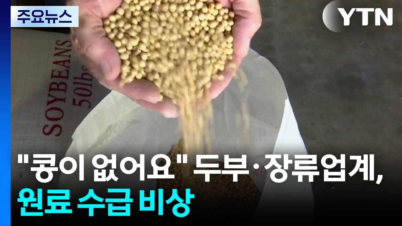 "콩이 없어요"...두부·장류업계 원료 수급 비상 / YTN