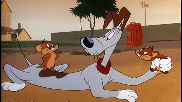 Looney Tunes Cartoons E72 - A Bone for a Bone | Goofy Gophers Dig Into Dog Trouble! 🐾🐶🌽
